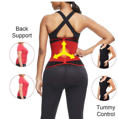 CoreForm Belt - Waist Support & Definer